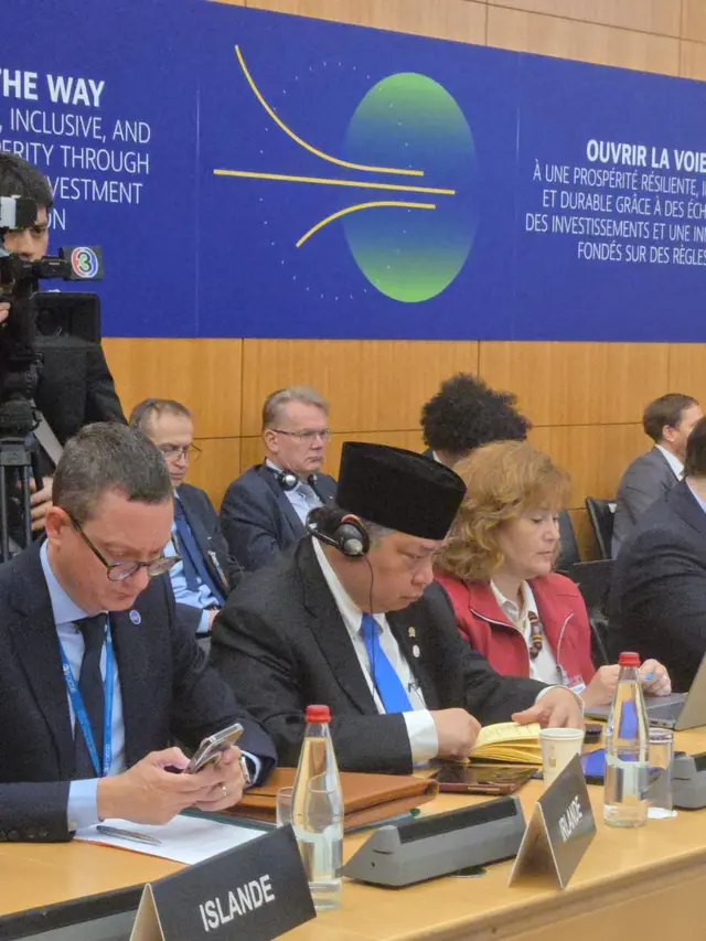 Indonesia Makin Cakap Digital: Airlangga Pamerkan Program di OECD