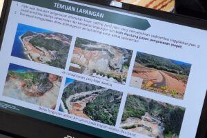 Izin Tambang di Hutan: 13 Perusahaan Era Megawati Terungkap