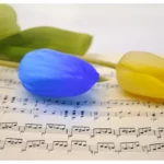 Rahasia Kolaborasi Musik AI: Hasilnya Super Menakjubkan!